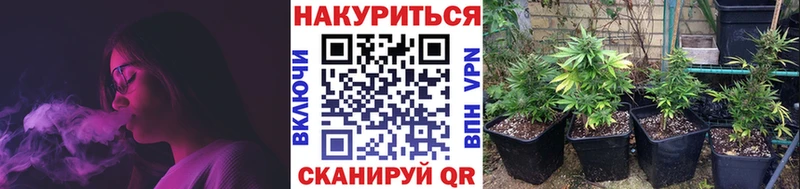 закладки  Тейково  МАРИХУАНА THC 21% 